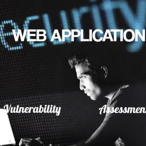 Web application Vulnerability Assessment Services